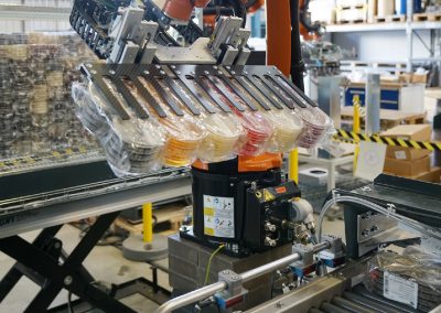 Gruppieren, Aufnehmen von pharmazeutischen Petrischalen mittels einem 6-Achsroboter mit Klemmgreifer von einem Transportsystem
